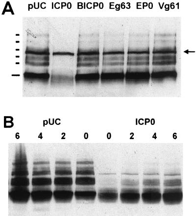 FIG. 8