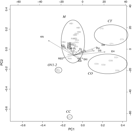 Fig. 3