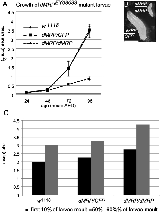 FIGURE 3.