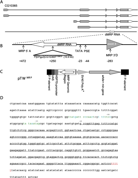 FIGURE 1.