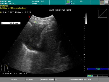 Fig. 5