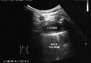 Fig. 7