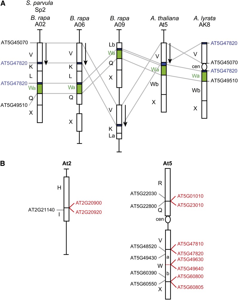 Figure 5.