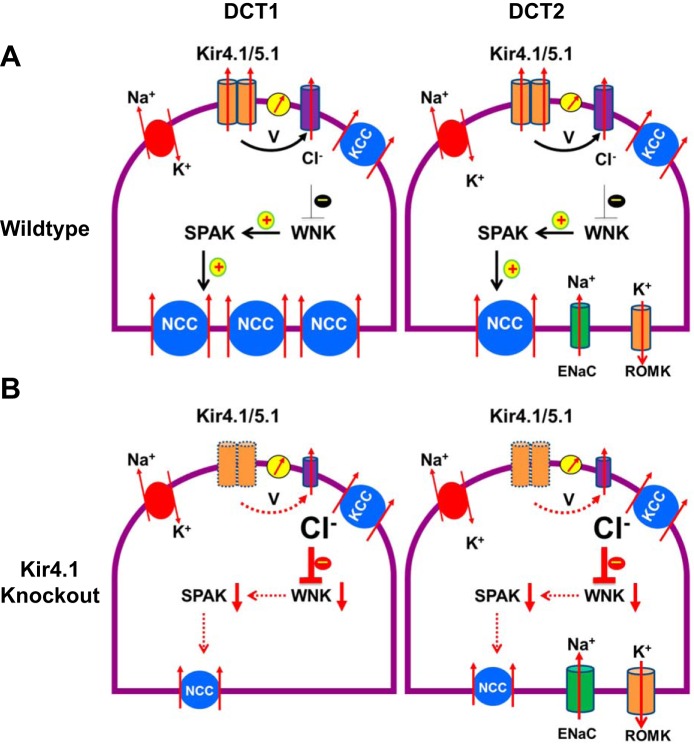 Fig. 1.