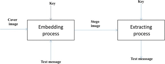 Fig. 1