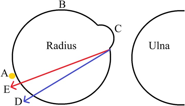 Fig. 5