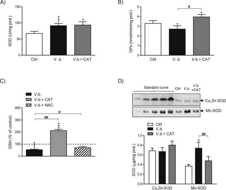 Fig. 3