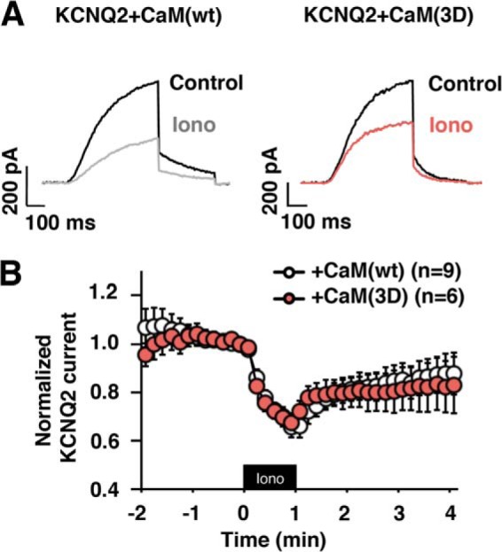 FIGURE 6.