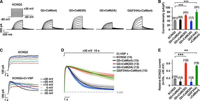 FIGURE 5.