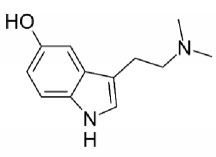 Biological Effects and Biodistribution of Bufotenine on Mice - PMC