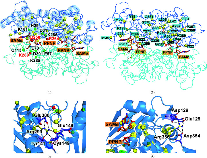 Figure 7