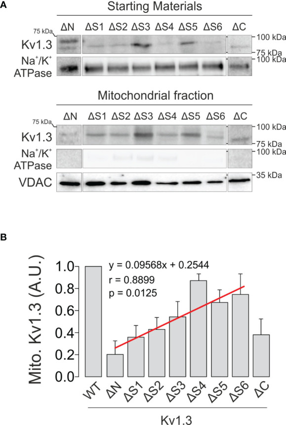 Figure 6