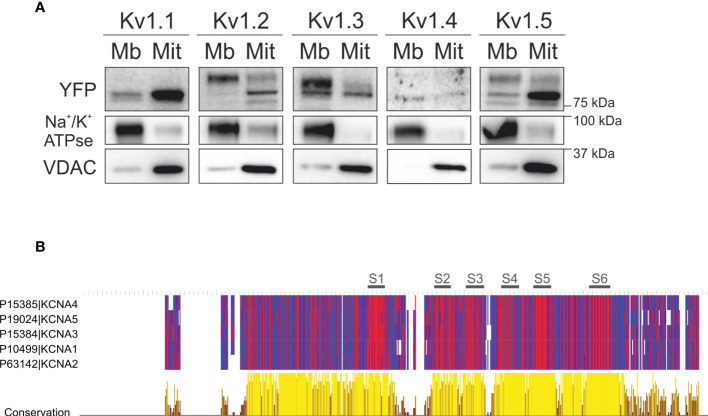 Figure 4