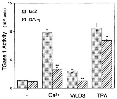 FIG. 10