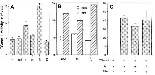 FIG. 9