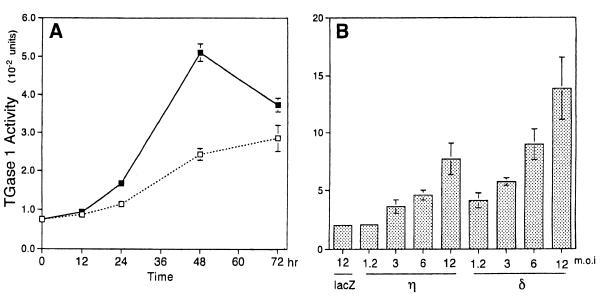 FIG. 8