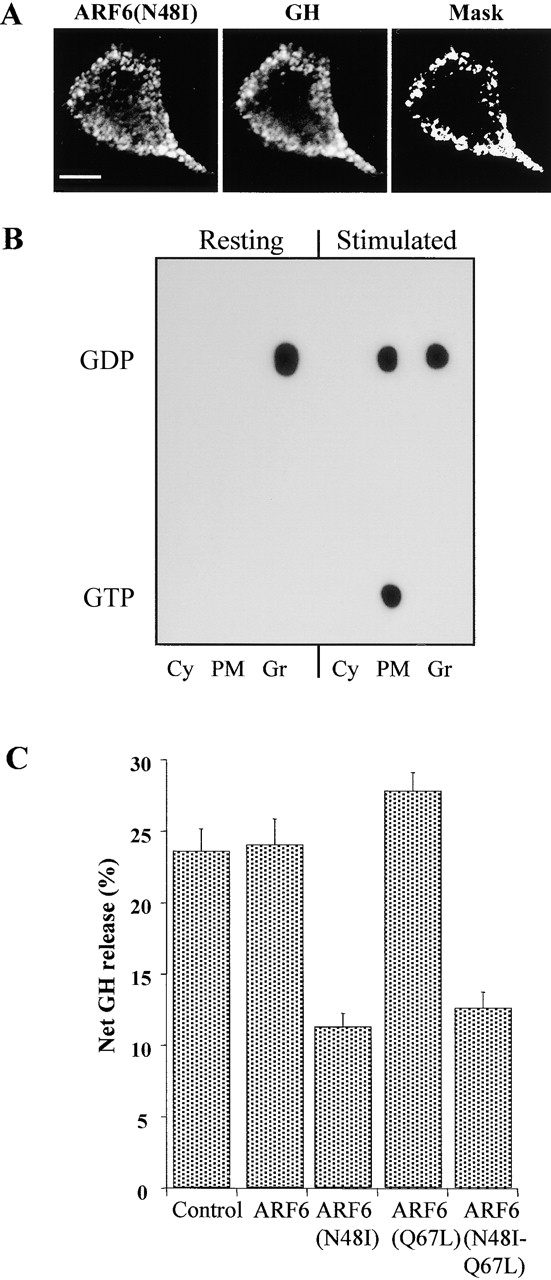 Figure 10.