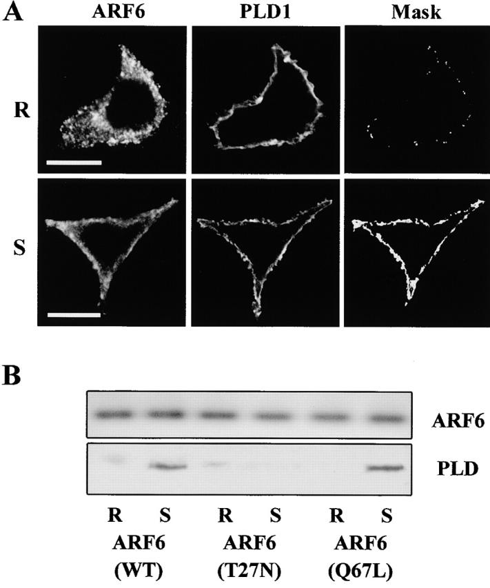 Figure 9.