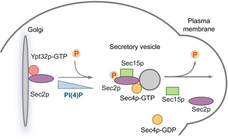 Fig. 8.