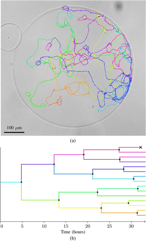 Fig. 8