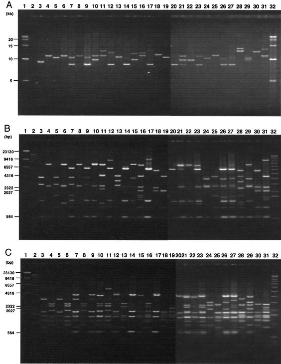 FIG. 3.