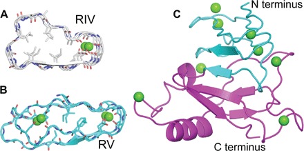 Fig. 7