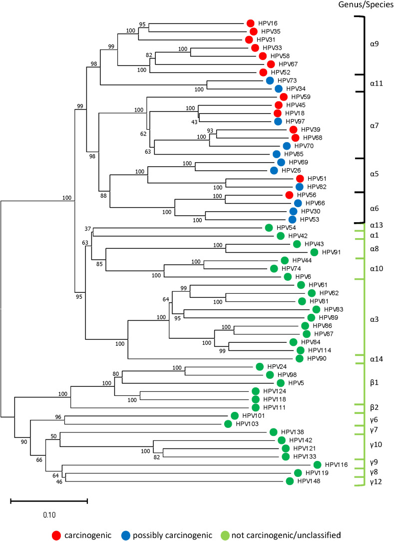 FIGURE 3