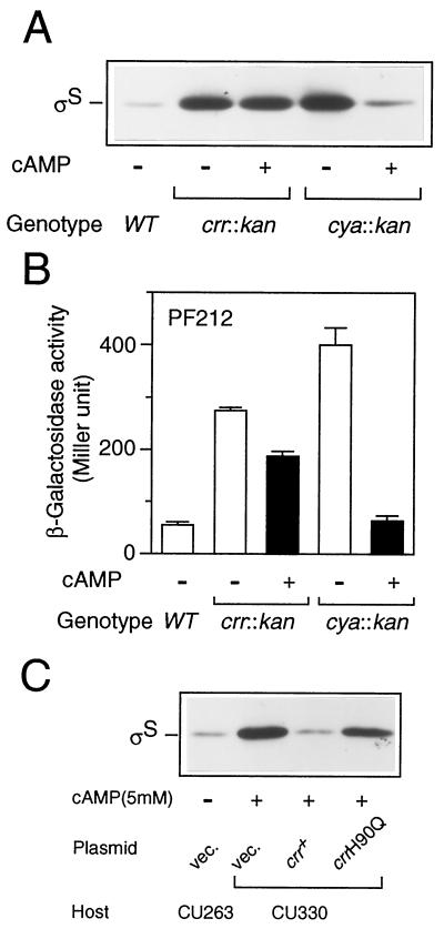 FIG. 7