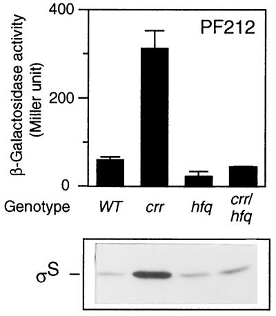 FIG. 8