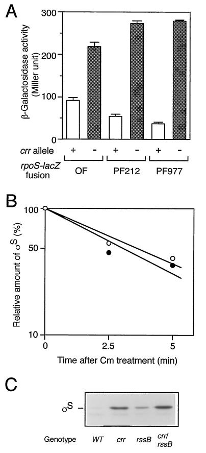 FIG. 5