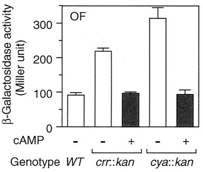 FIG. 6