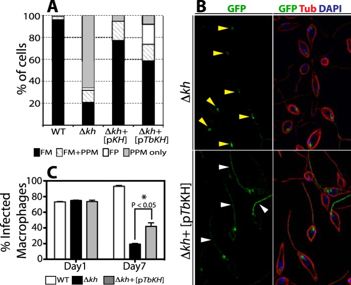 FIGURE 11.