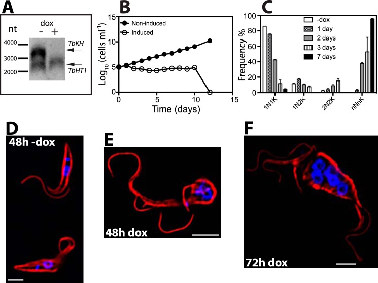 FIGURE 10.