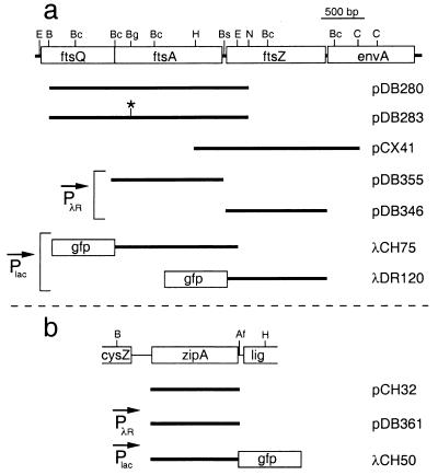 FIG. 1