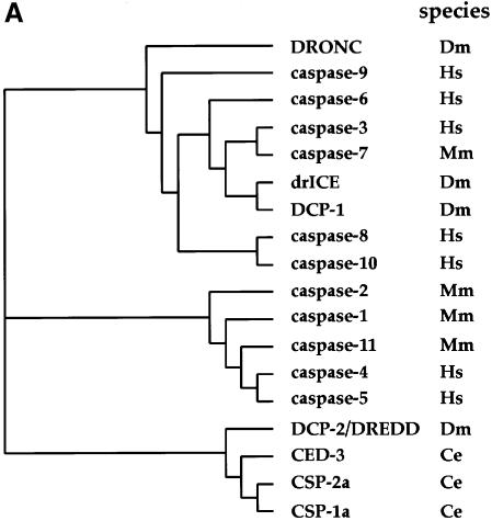 graphic file with name e031101a.jpg