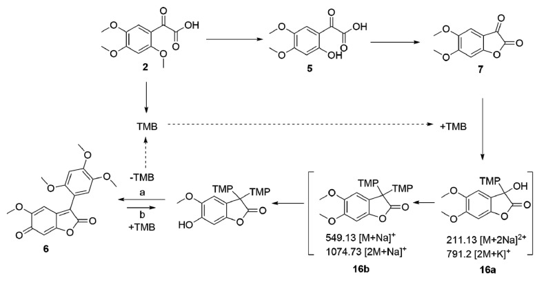 Scheme 3