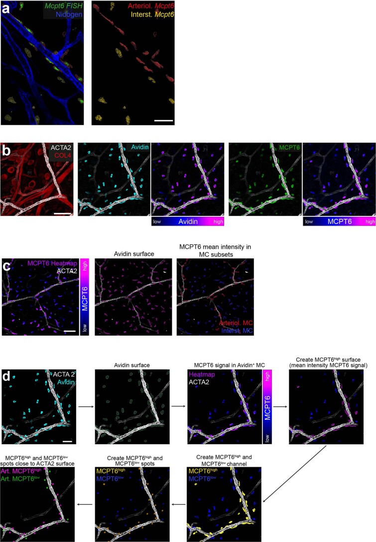 Extended Data Fig. 8