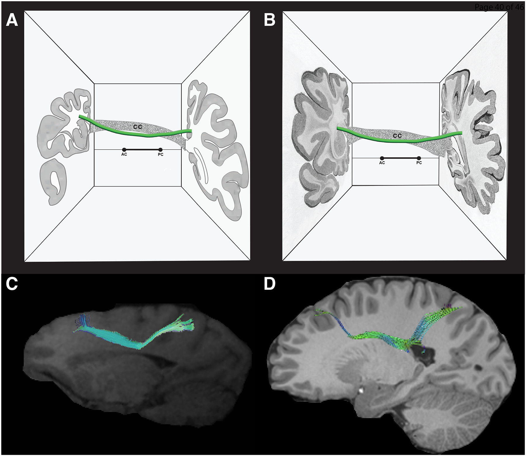 Figure 5: