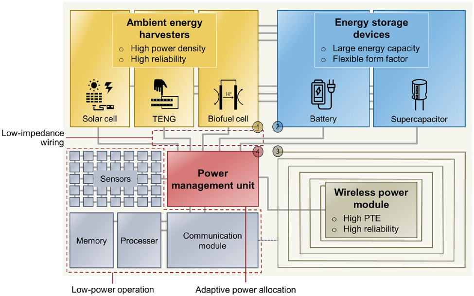 Figure 12.