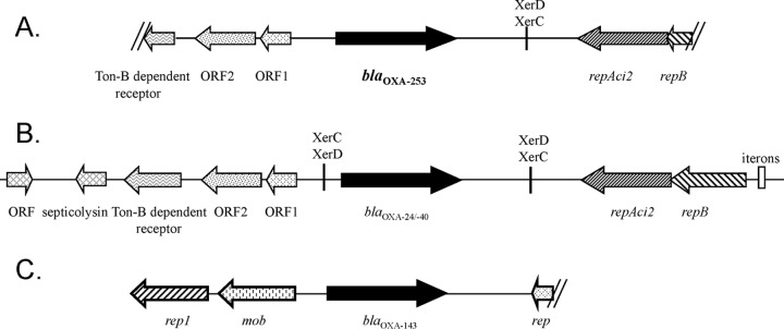 FIG 2