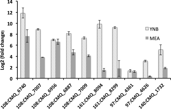 FIG 4