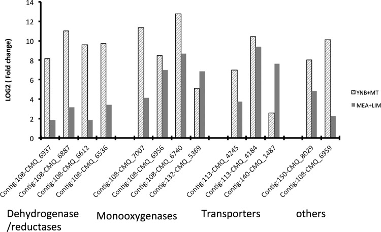 FIG 2