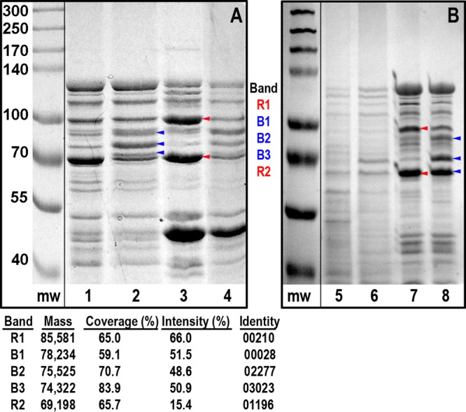 FIG 5