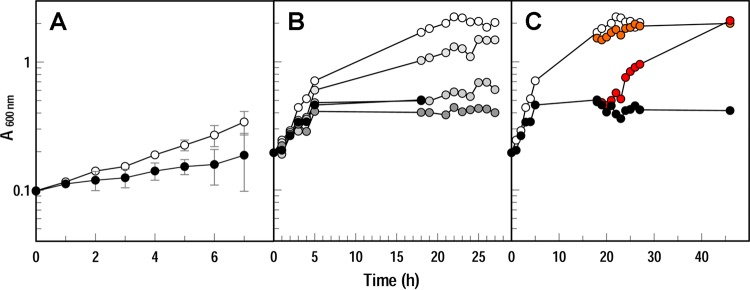 FIG 3