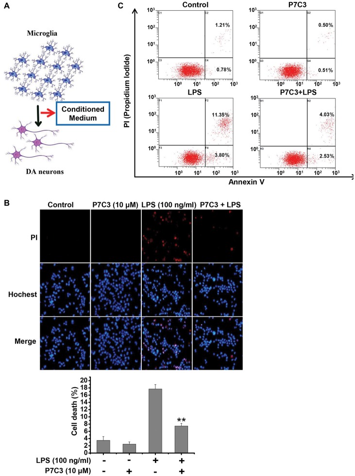 Figure 6