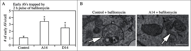 Figure 22.