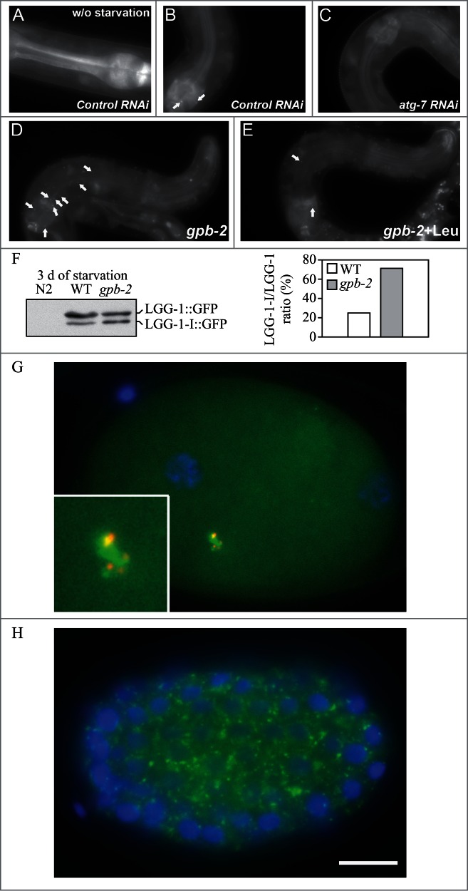 Figure 27.