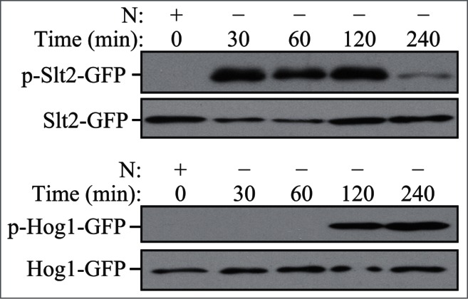 Figure 20.