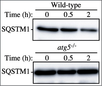 Figure 15.