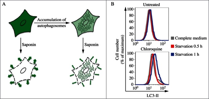 Figure 13.